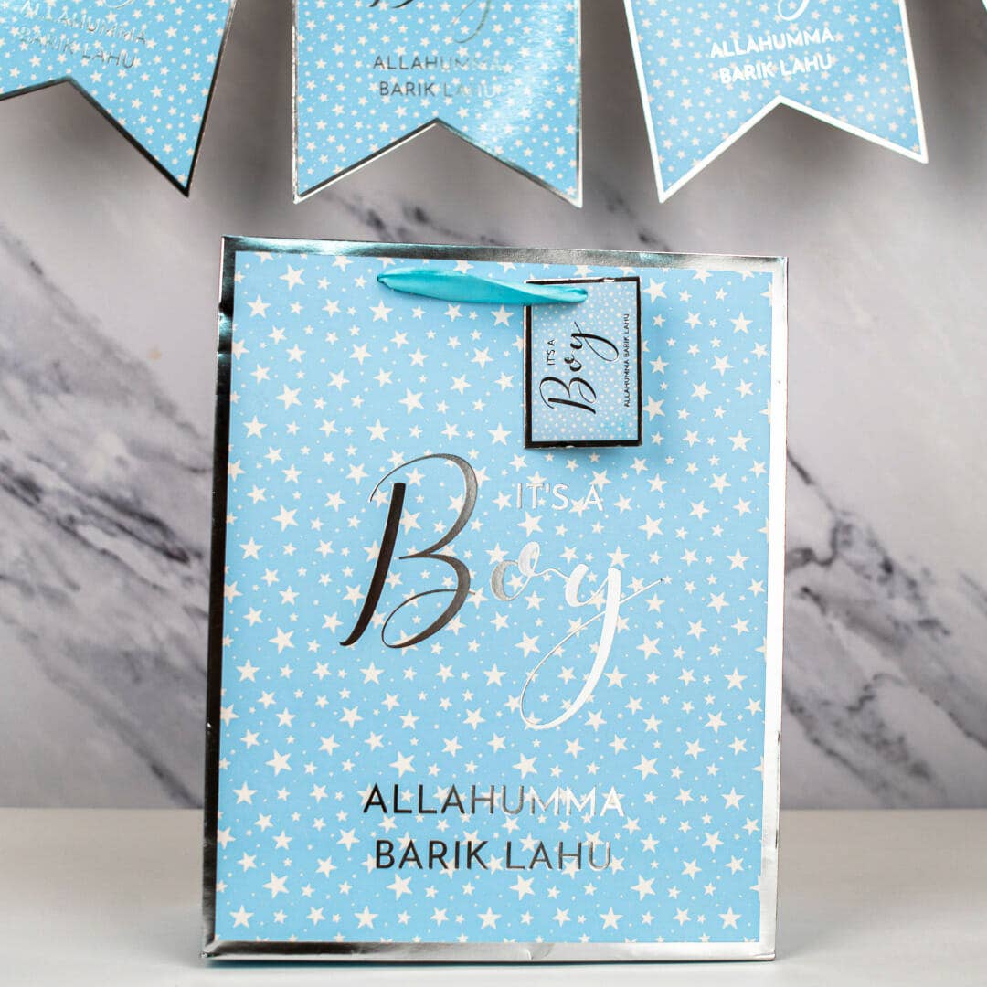 Baby Boy Gift Bag - Blue & Silver