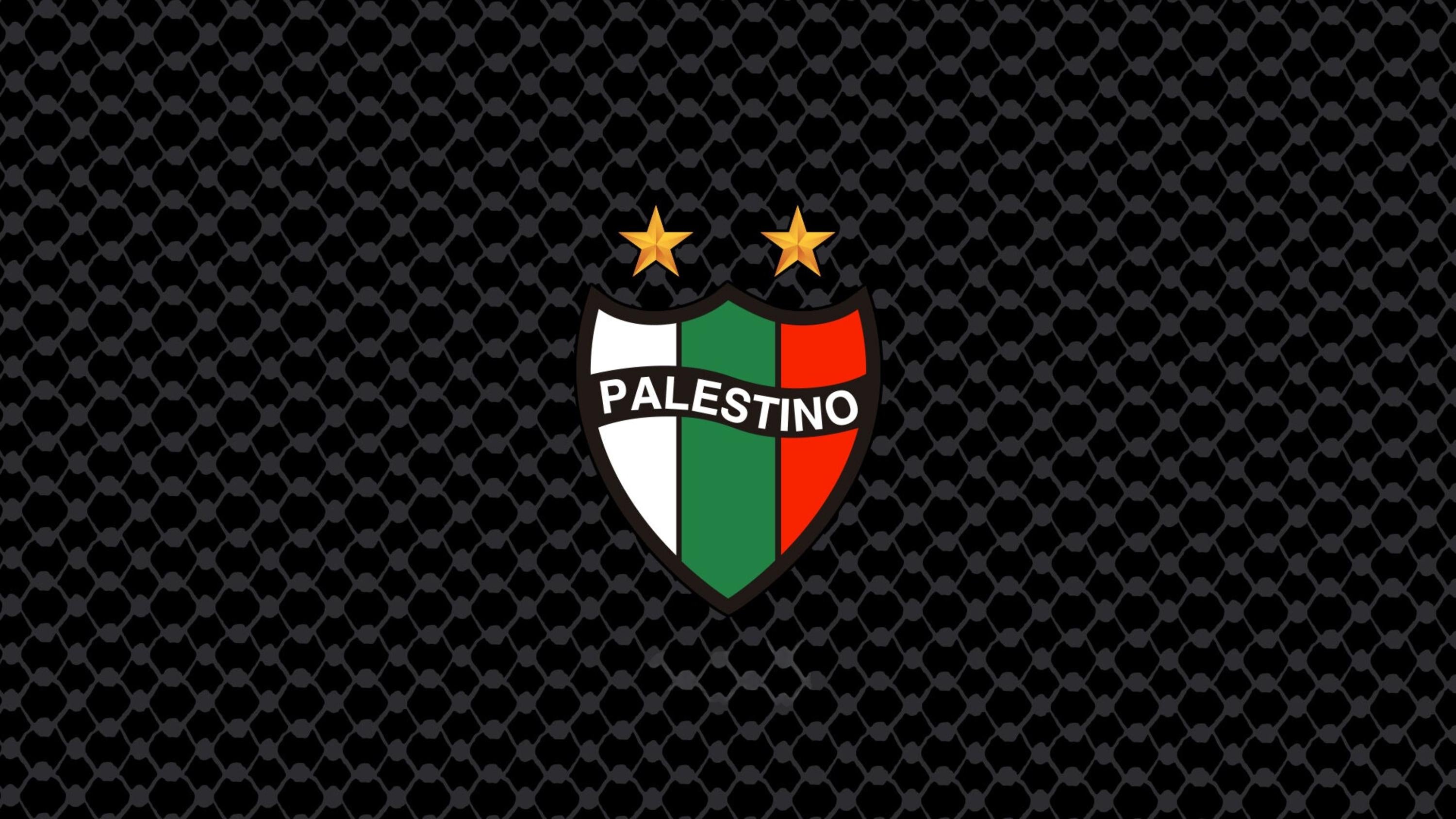 Palestine Football /  Soccer Jersey English| T Shirt | Football shirt | Soccer | Palestine shirt | sports | Unisex | Palestine Football | Palestina