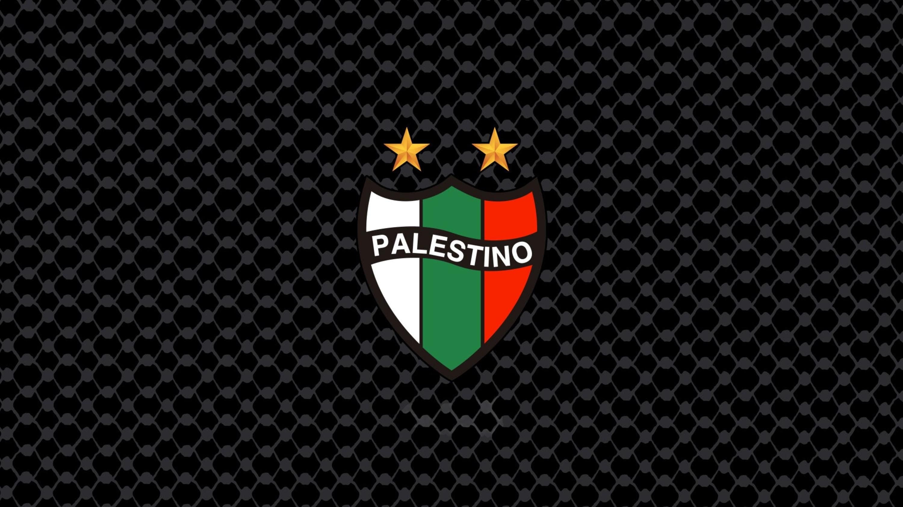 Palestine Football/Soccer Jersey White | Football shirt | Soccer | Palestine shirt | sports | Unisex | Palestine Football | Palestina