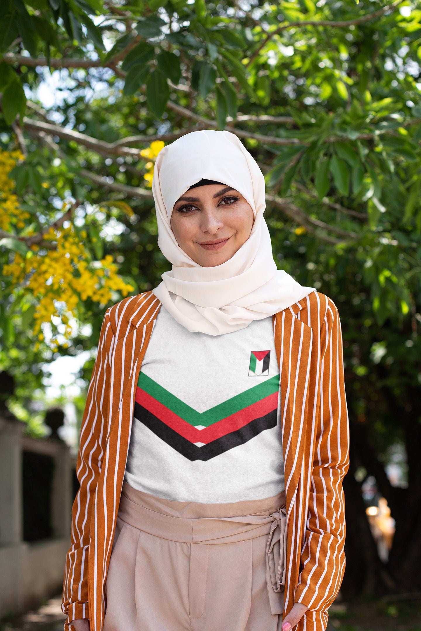 Adult Crew Neck Soft Style T-Shirt - Palestine Stripe 1